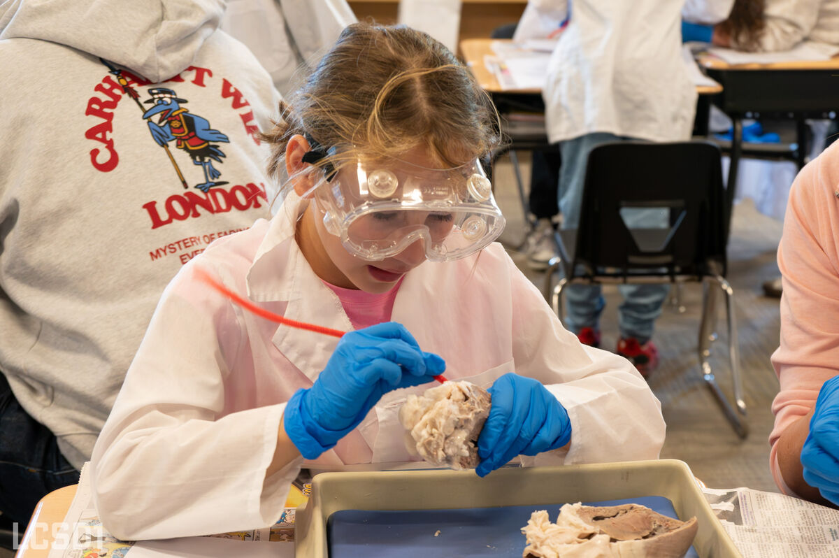 A student wearing safety goggles, a white lab coat, and blue gloves examines a specimen in a classroom.