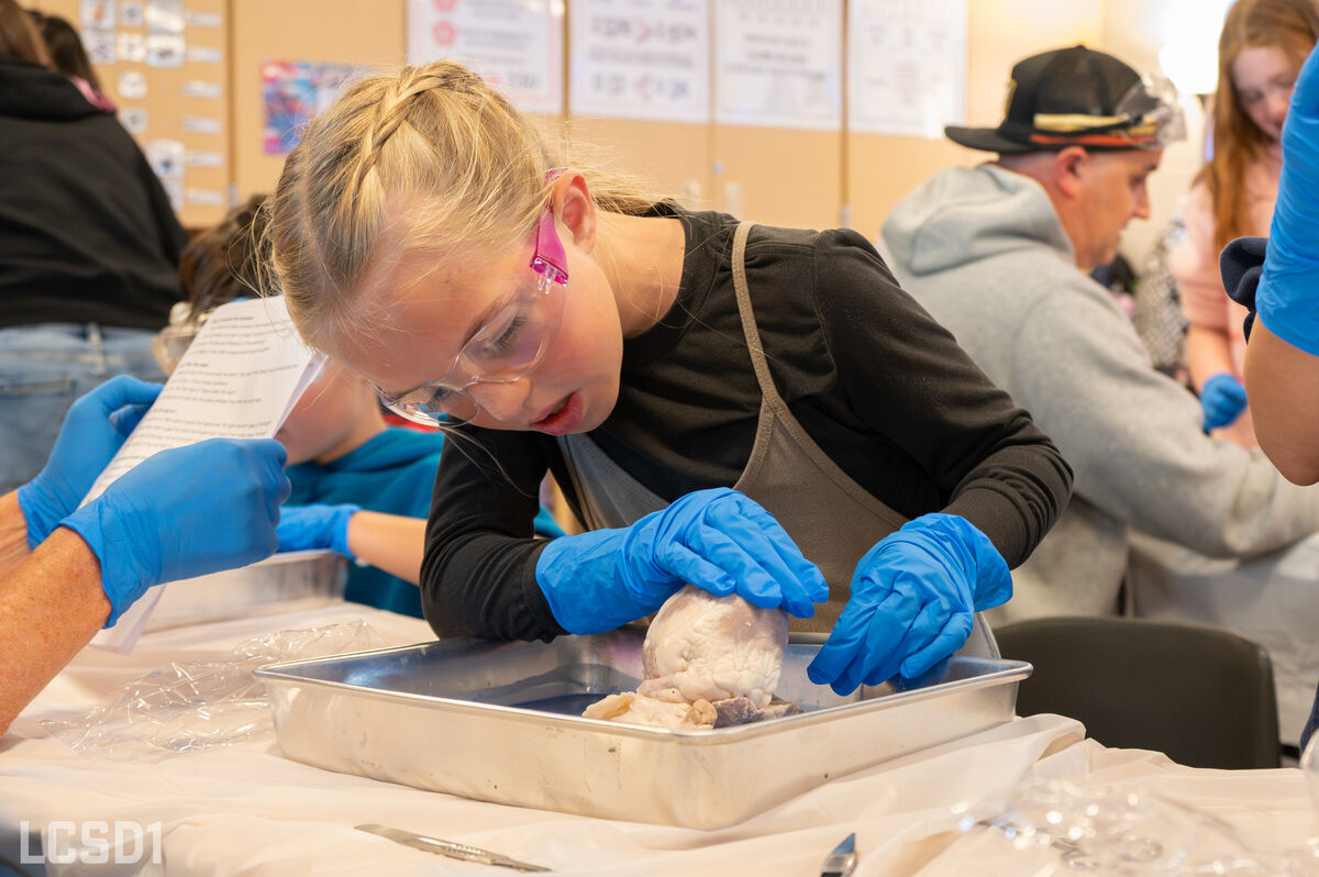 A young student wearing safety glasses and blue gloves examines an anatomical specimen in a metal tray during a science class.
