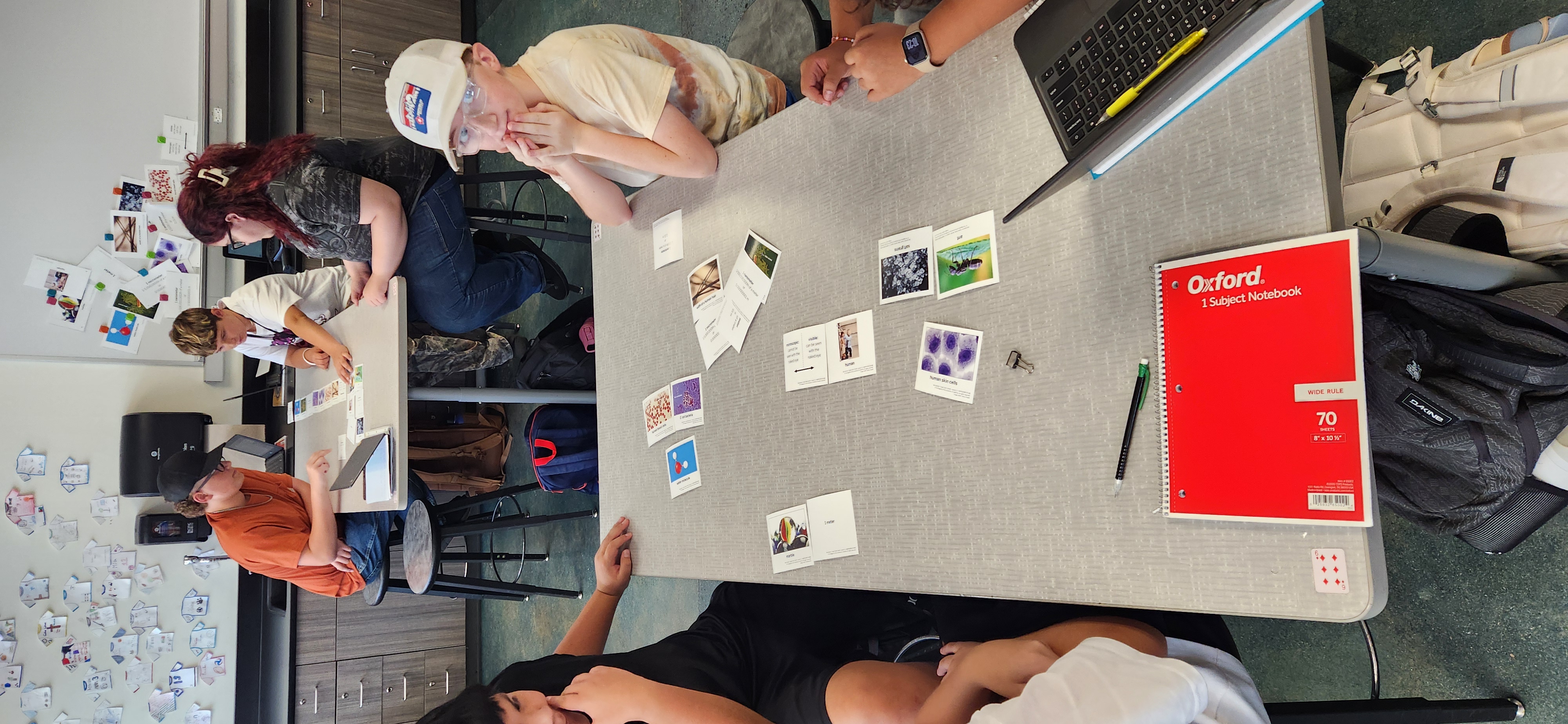Students gather around a table, looking at educational cards with images of cells and insects.