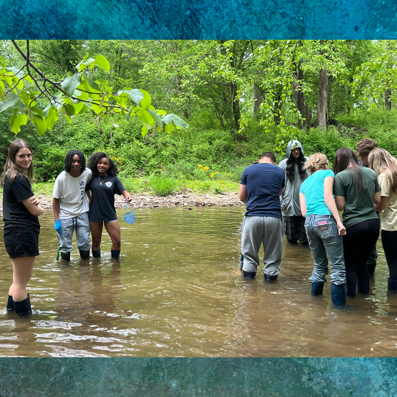 A group of young people stand in a shallow, muddy creek, surrounded by lush green trees.