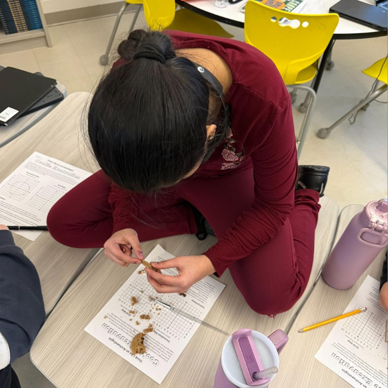 A student examines a cookie fragment on a worksheet titled 'Think Like an Archaeologist: Cookie Excavation'.