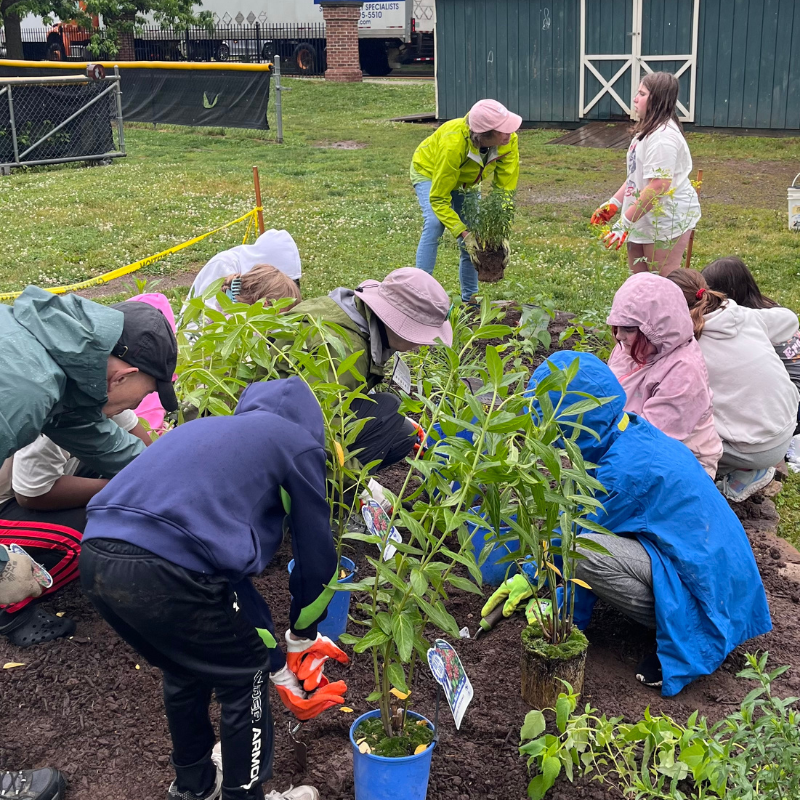 A group of children and adults are planting in a garden bed, wearing rain gear.