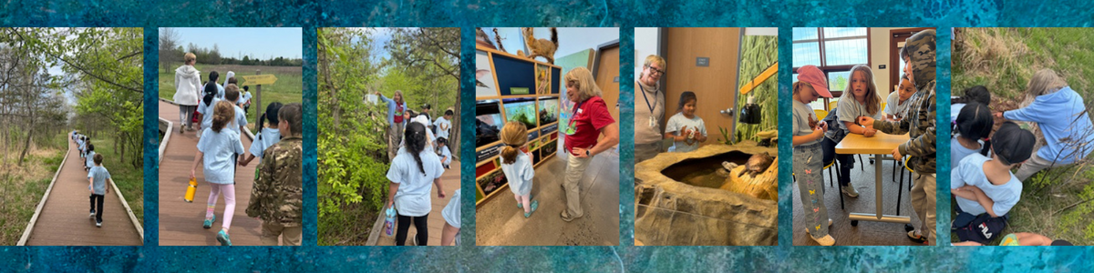 Children walk on a wooden boardwalk through a nature trail, guided by adults.