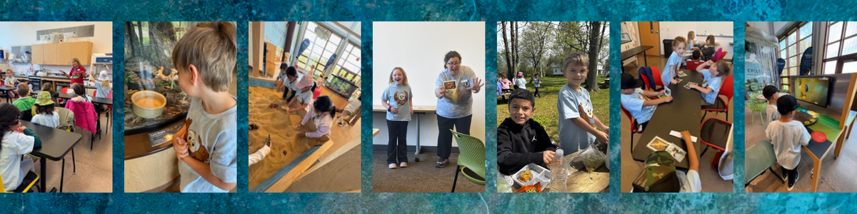 Children engage in various educational activities, including a science lesson, sand play, and outdoor exploration.