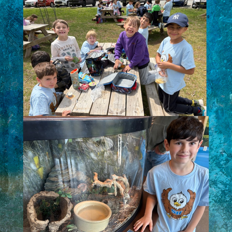 Children gather around a picnic table with lunchboxes and snacks.