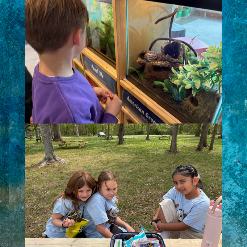 A young boy observes a frog in an aquarium labeled 'American Green Tree Frog'.