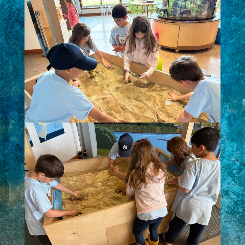 Children explore a large sand table, digging and examining objects.