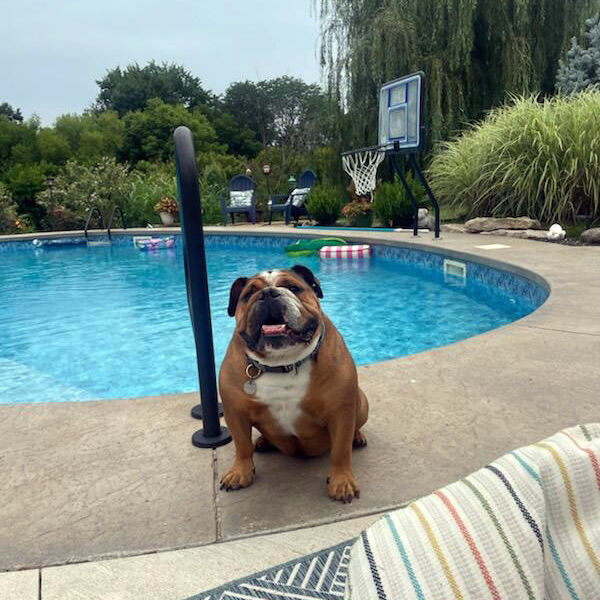 Help Keep Our Bulldogs Hydrated During the Heat