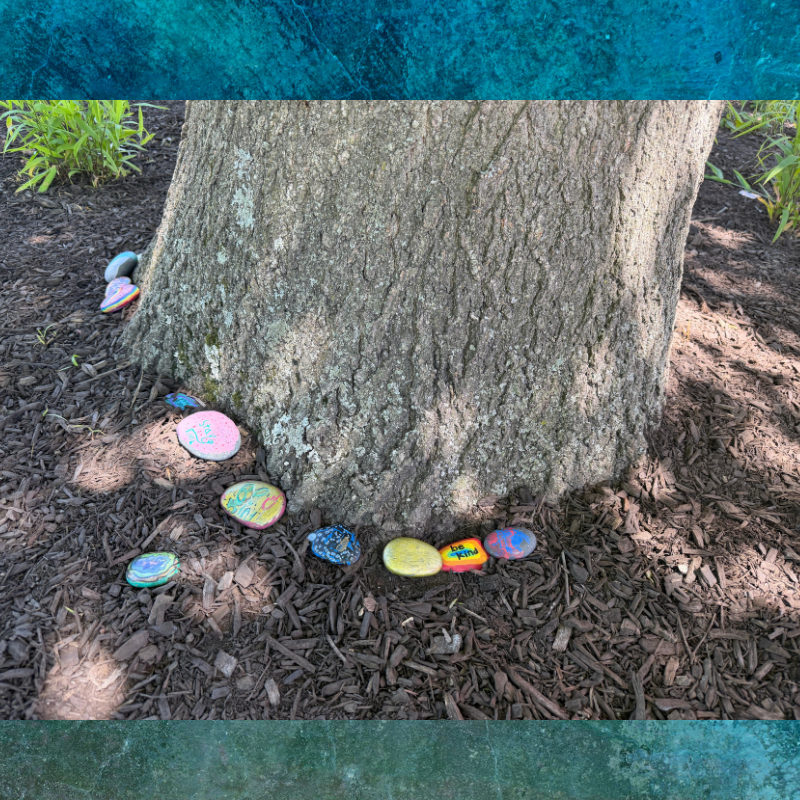 Painted rocks with colorful designs and positive messages are placed around the base of a large tree.