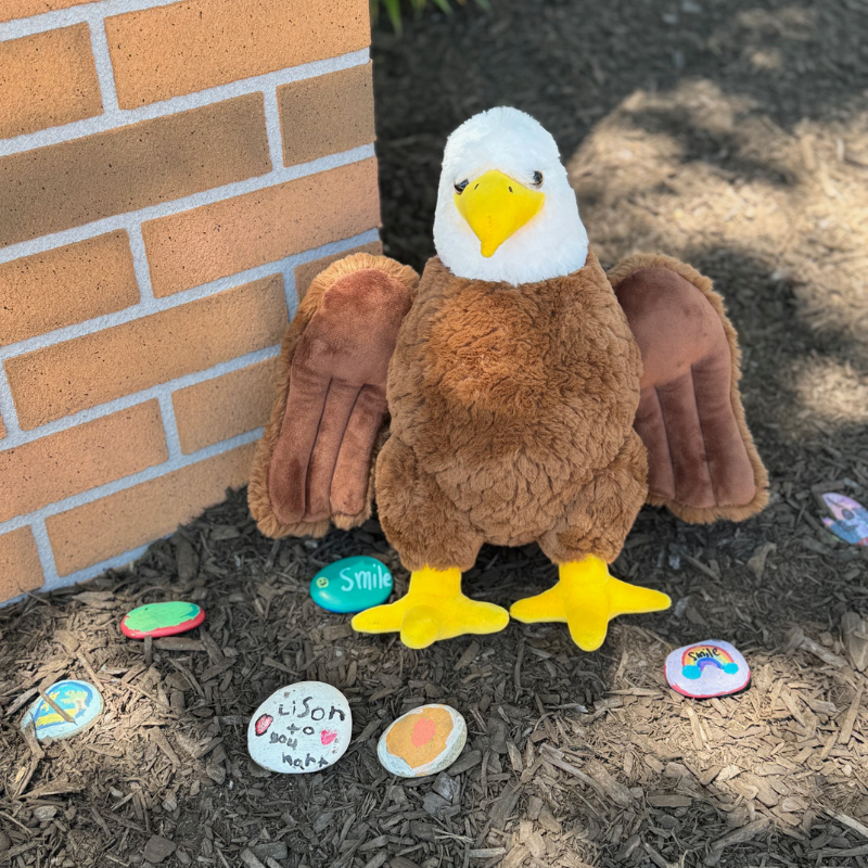 A plush bald eagle stands on the ground next to a brick wall, surrounded by painted rocks.