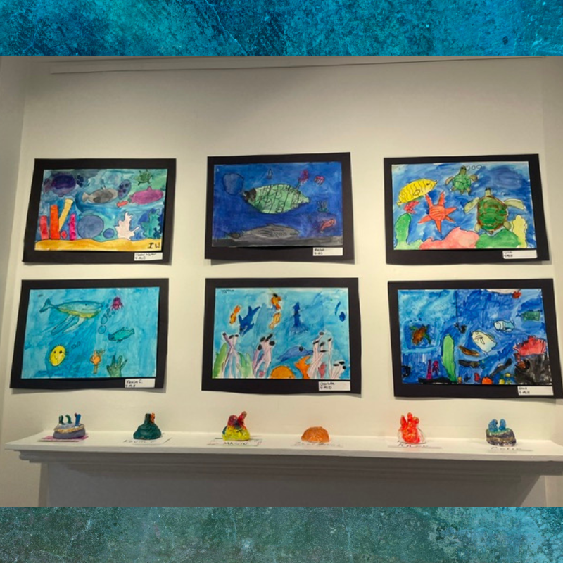 Six framed watercolor paintings of underwater scenes, featuring fish, turtles, and coral, are displayed on a white wall.