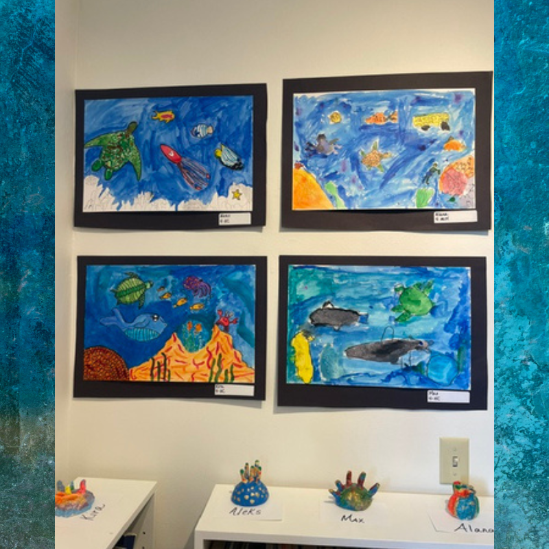 Four framed watercolor paintings of underwater scenes featuring sea turtles, fish, and octopuses are displayed on a white wall.