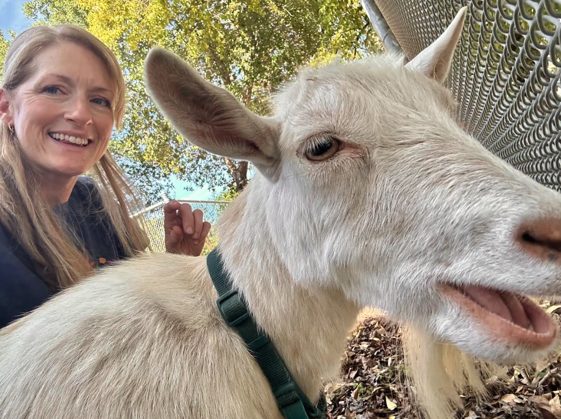 A woman smiles as she takes a selfie with a white goat in an outdoor enclosure.