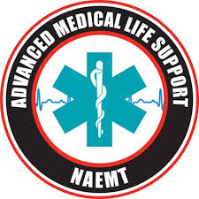 AMLS course logo