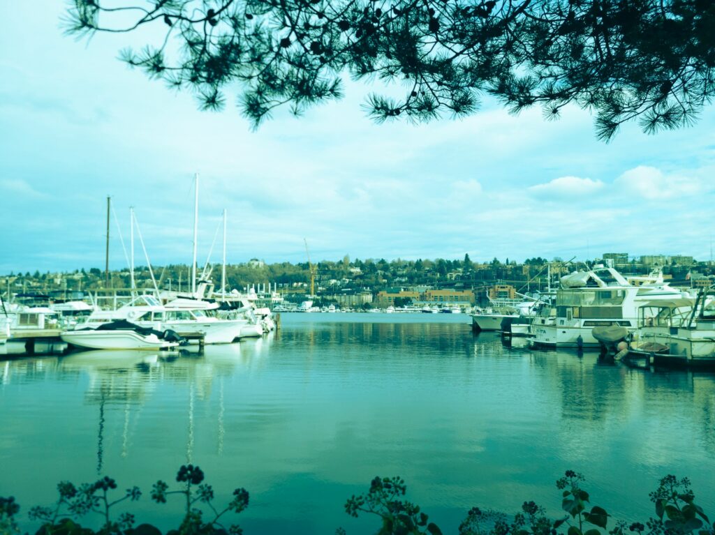 Lake Union harbor, Seattle