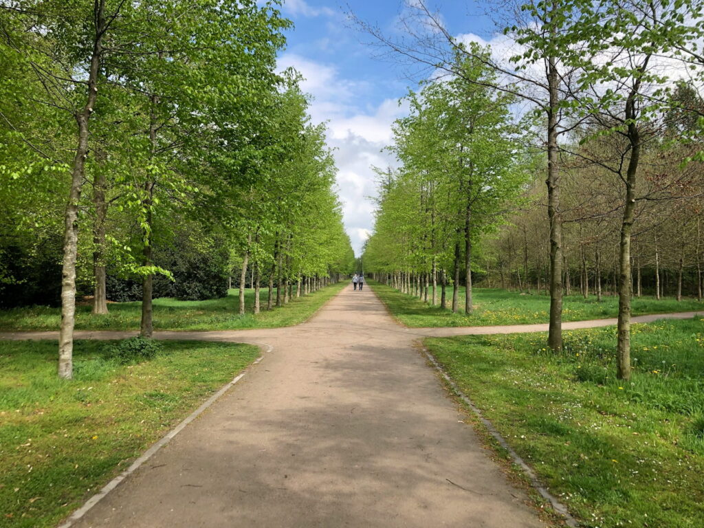 An open pathway through a park