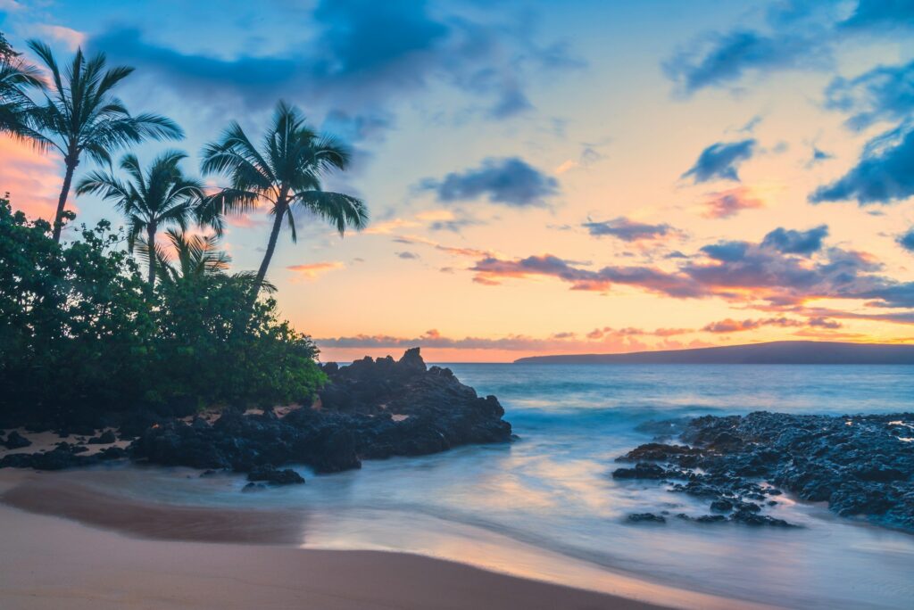 Sunset and palm trees on a beach in Maui