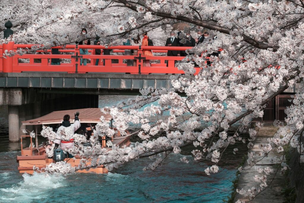 A bridge over water with spring blossoms to the side