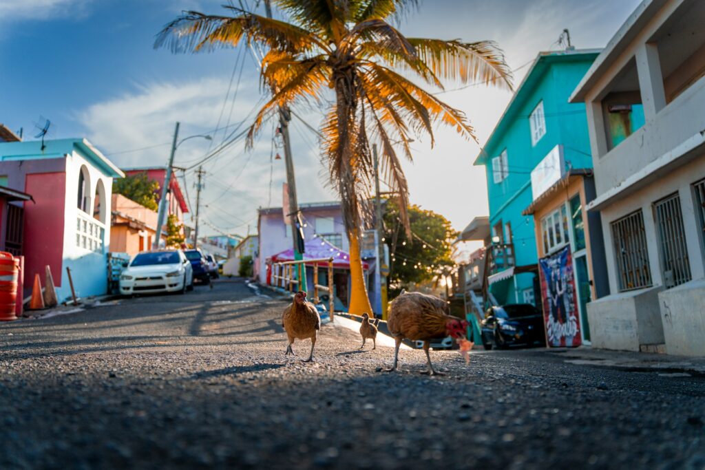 A colorful street in Puerto Rico