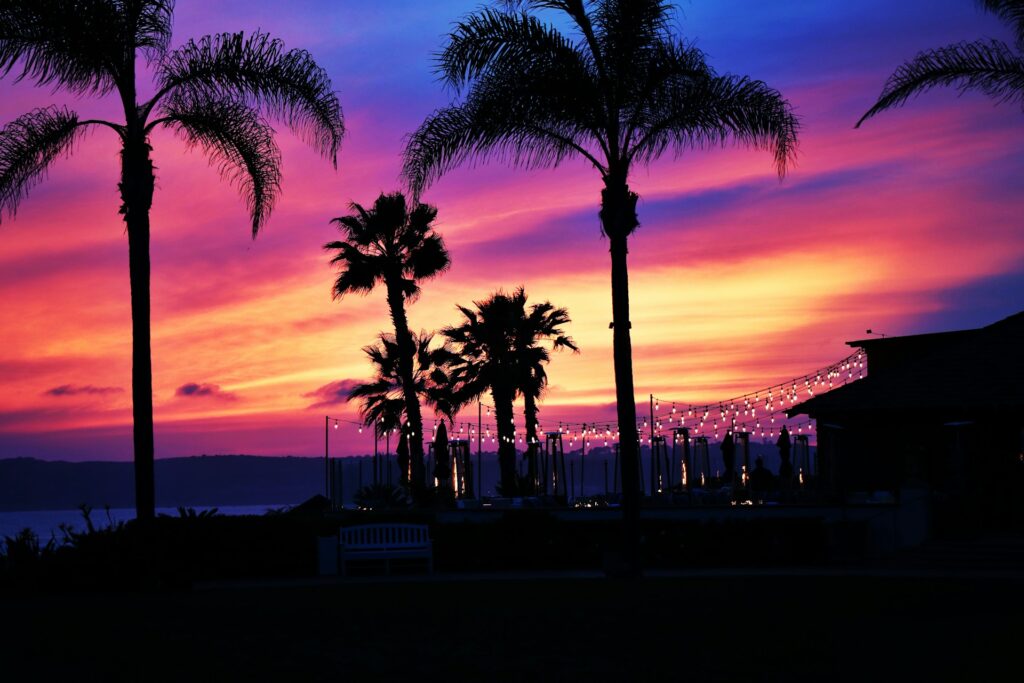Palm tree silhouettes in front of a colorful sunset