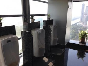 very_public_toilets