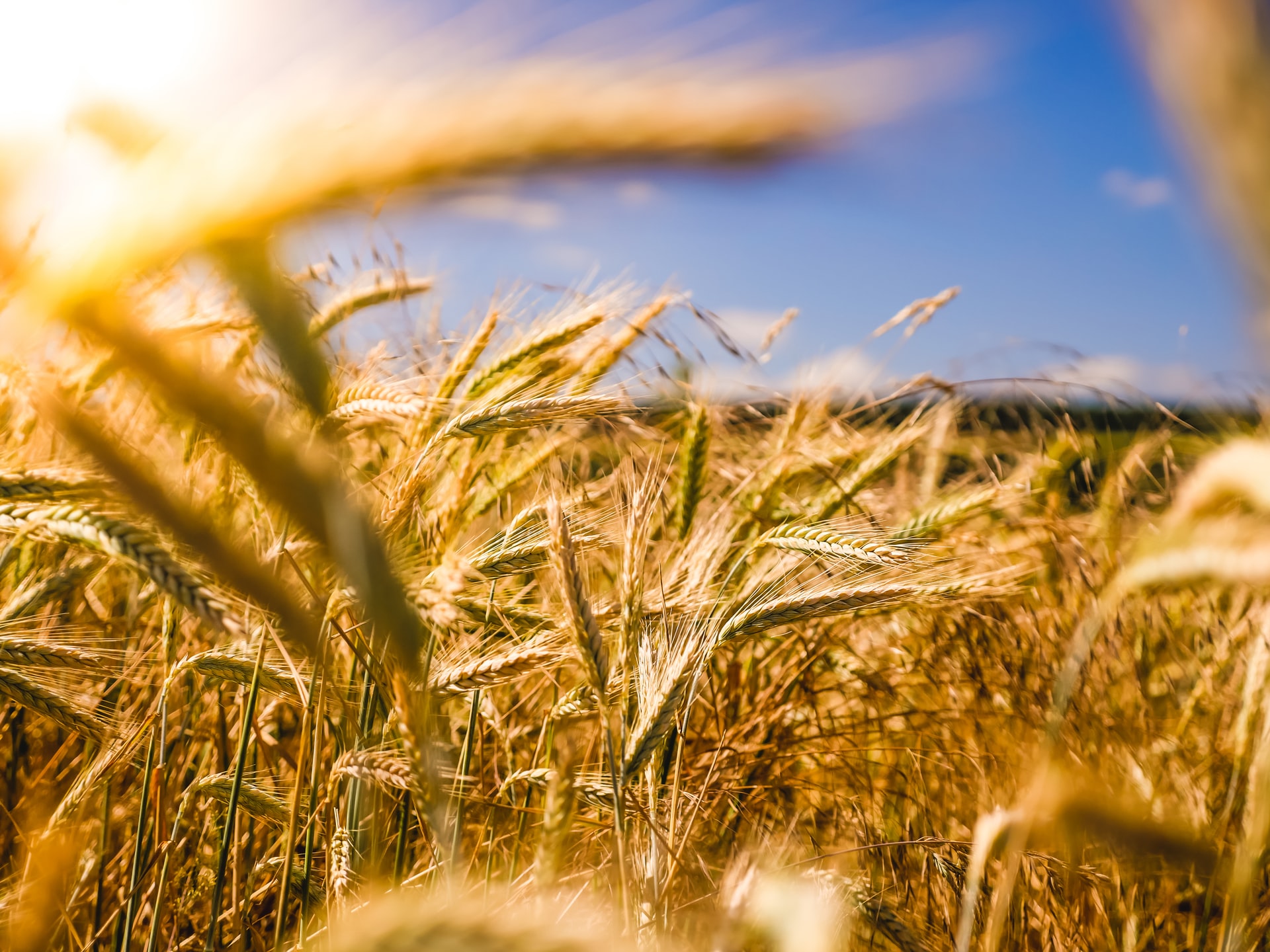 The God of Abundance: Matthew 14:13-21