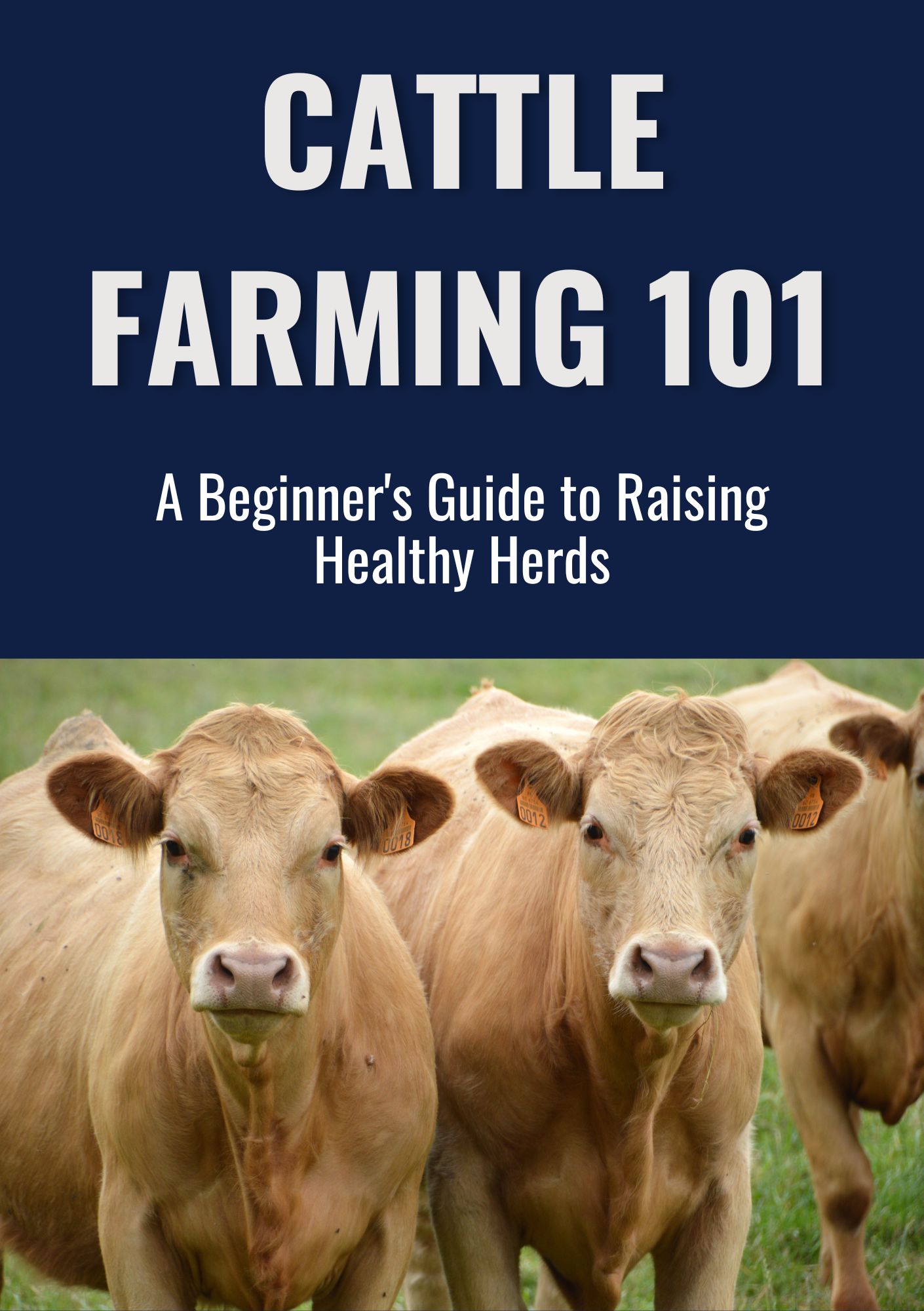 Cattle Farming 101: A Beginner's Guide to Raising Healthy Herds