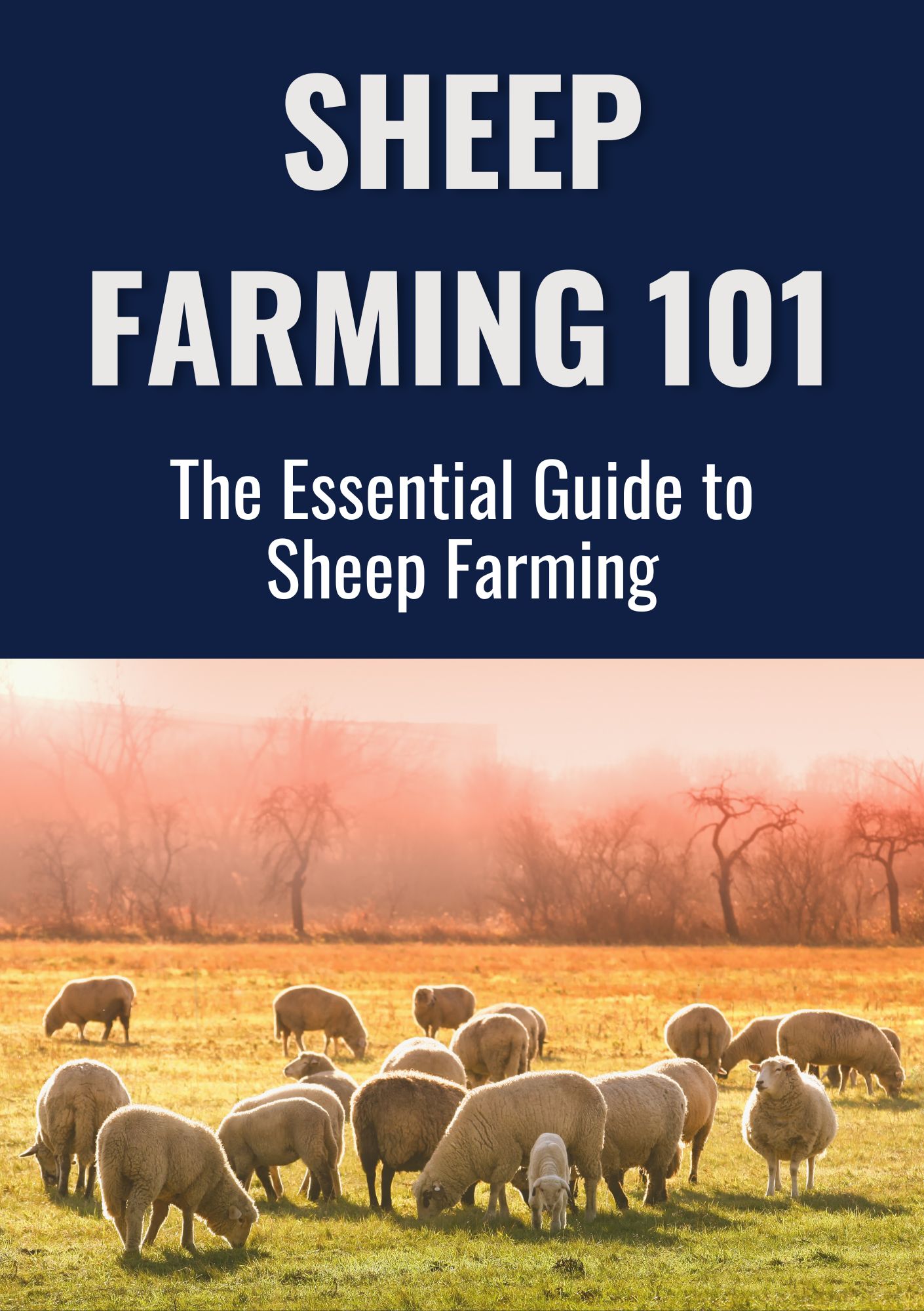 Sheep Farming 101: The Essential Guide to Sheep Farming