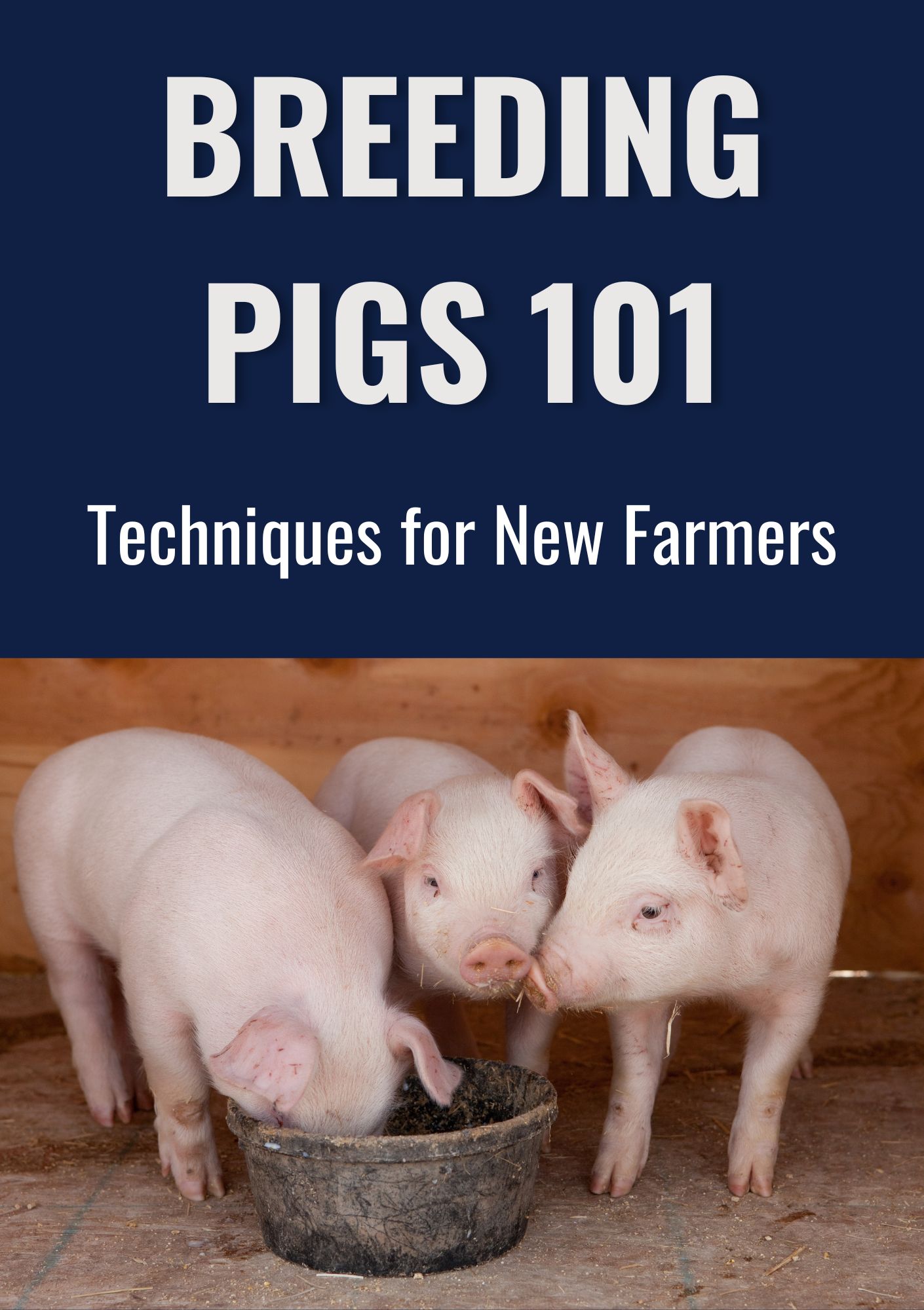Breeding Pigs 101: Techniques for New Farmers