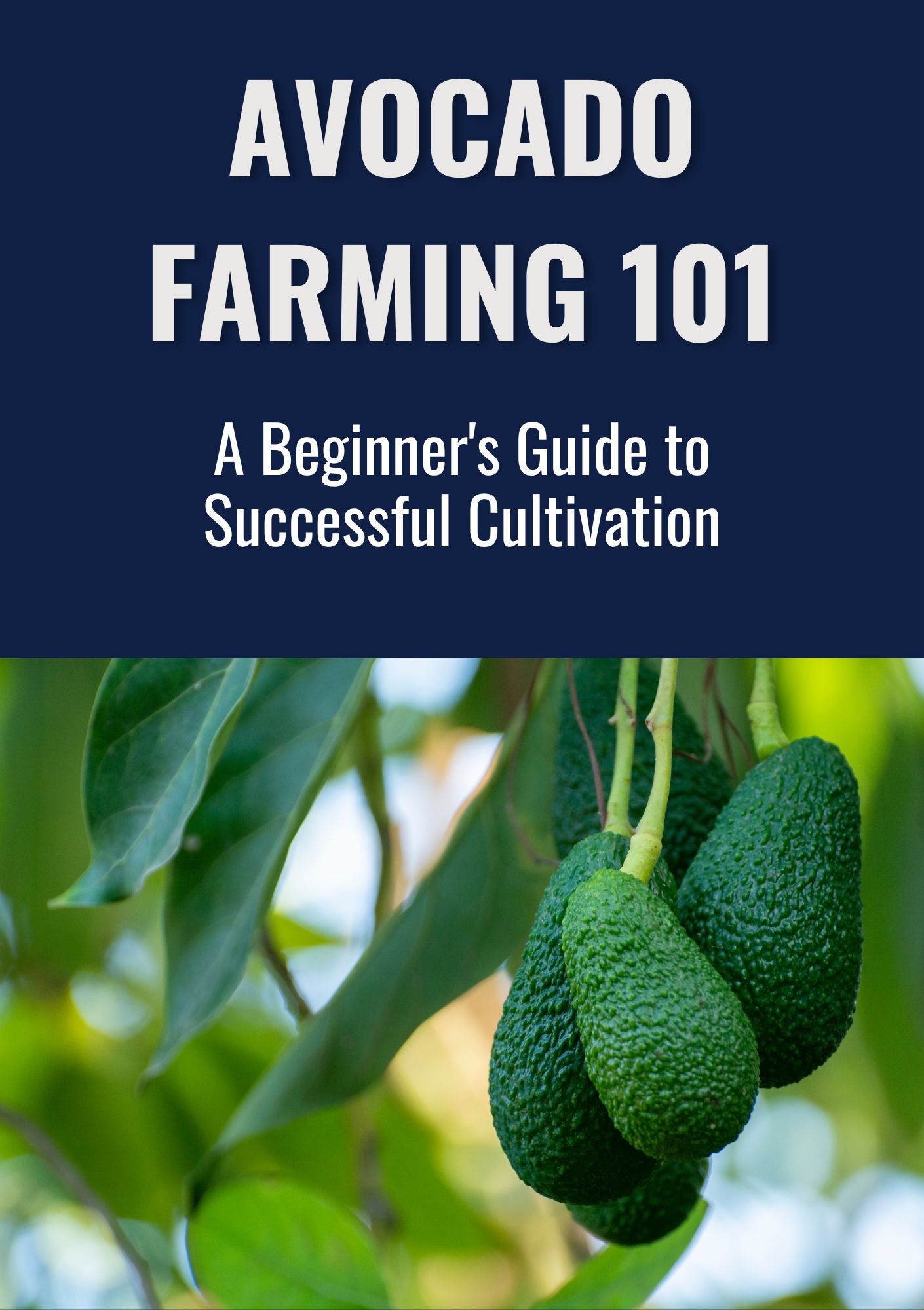 Avocado Farming 101: A Beginner's Guide to Successful Cultivation
