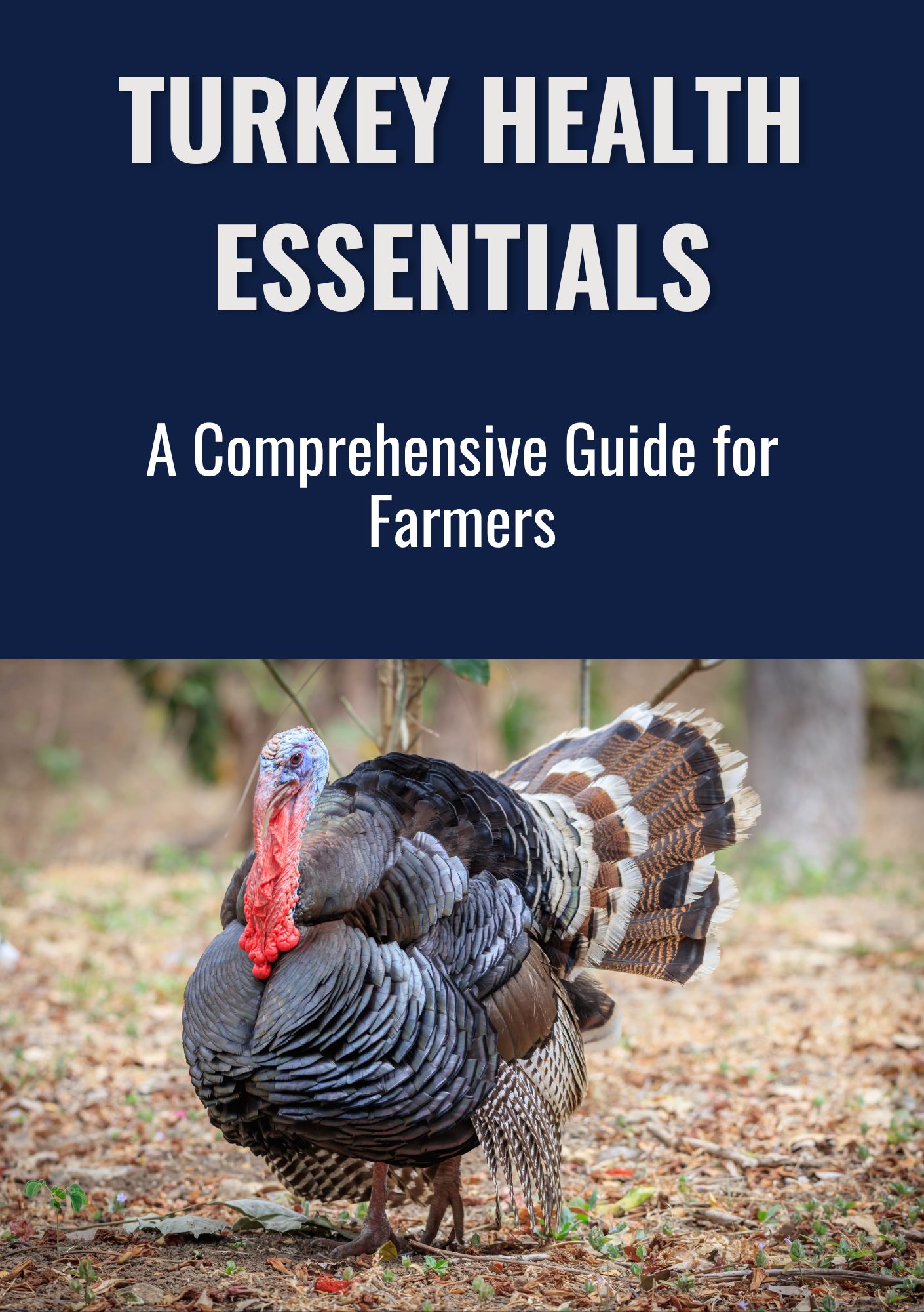 Turkey Health Essentials: A Comprehensive Guide for Farmers