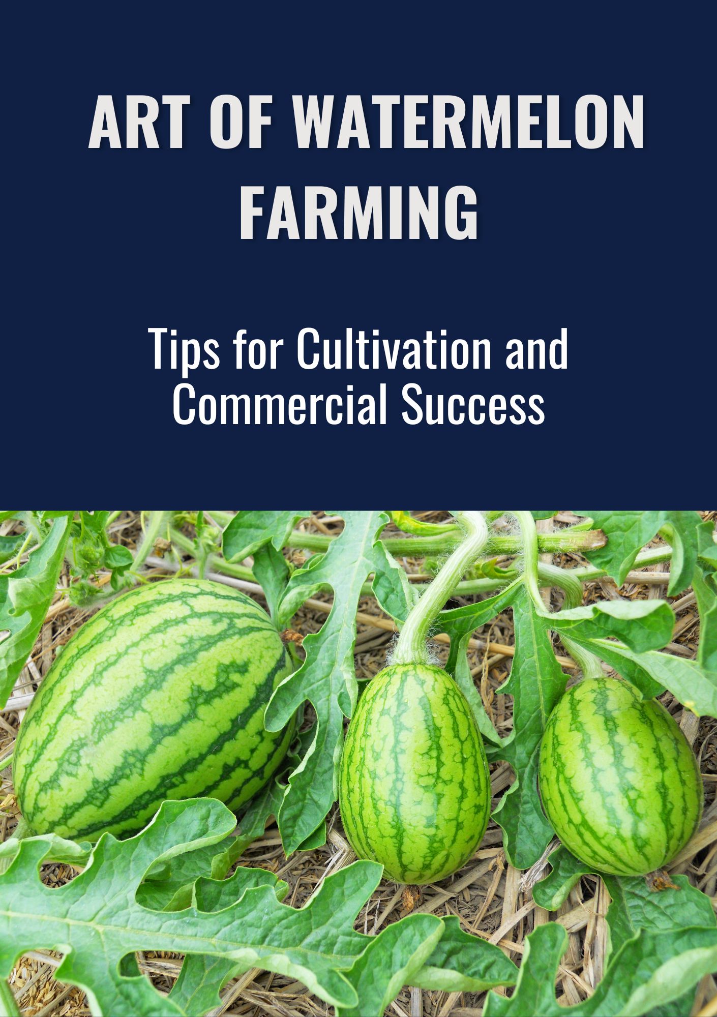 The Art of Watermelon Farming: Tips for Cultivation and Commercial Success