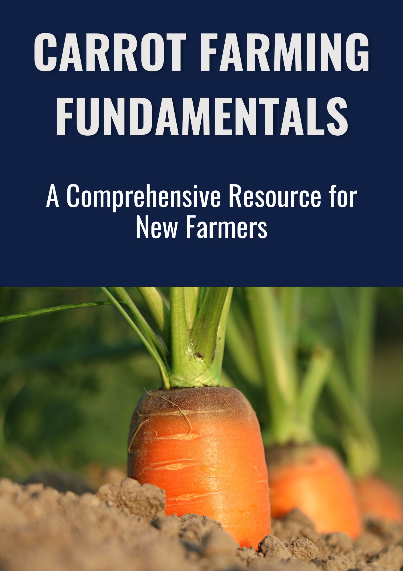 Carrot Farming Fundamentals: A Comprehensive Resource for New Farmers