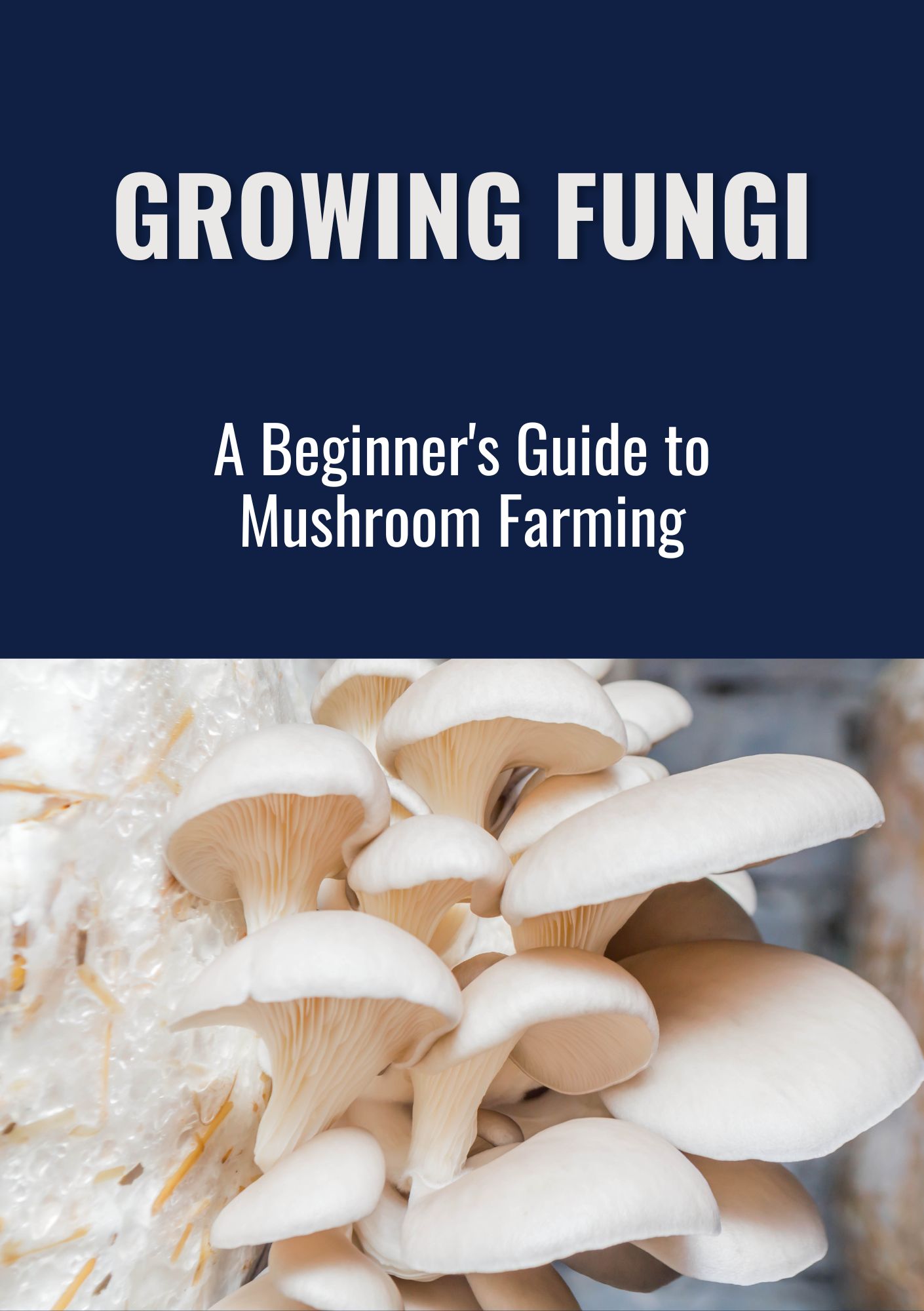 Growing Fungi: A Beginner’s Guide to Mushroom Farming