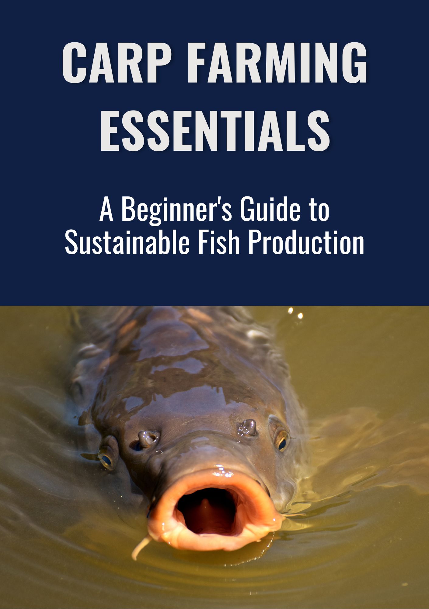 Carp Farming Essentials: A Beginner's Guide to Sustainable Fish Production