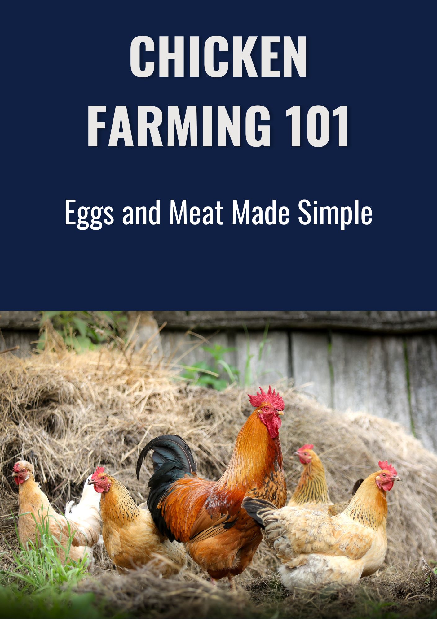 Chicken Farming 101: Eggs and Meat Made Simple