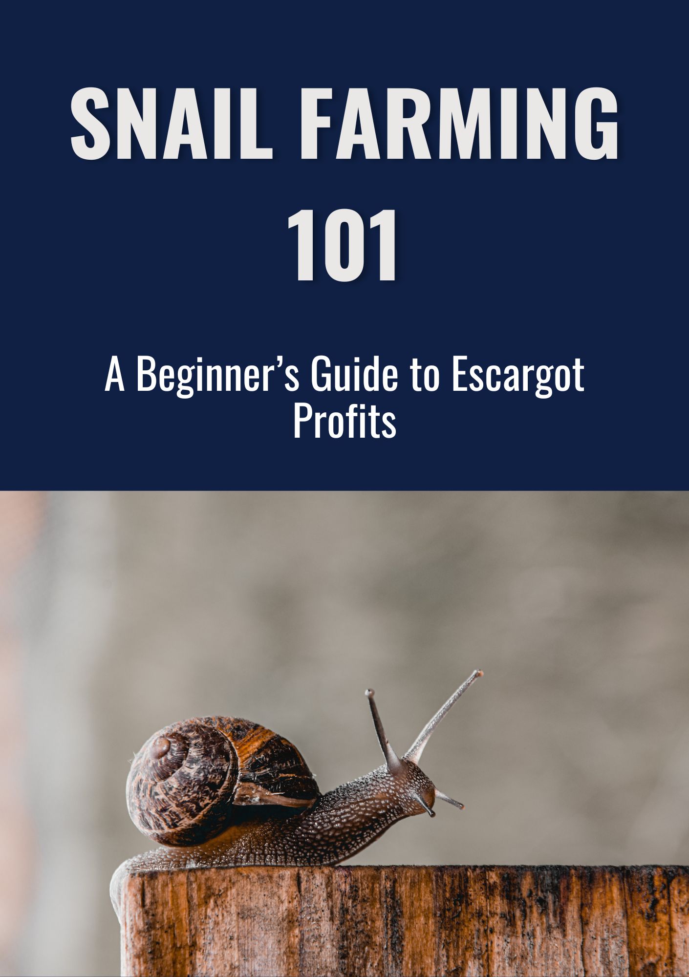 Snail Farming 101 – A Beginner’s Guide to Escargot Profits