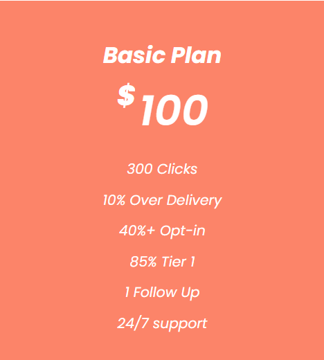 Solo Ads Basic Plan