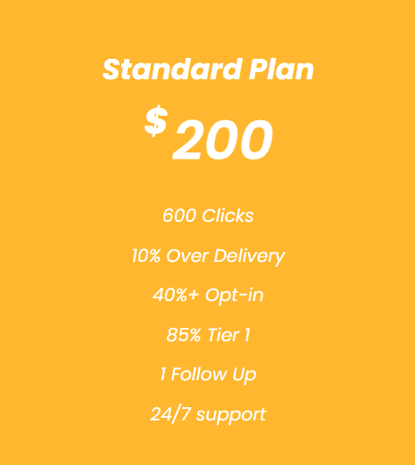 Solo Ads Standard Plan