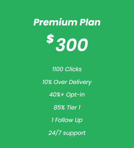 Solo Ads Premium Plan