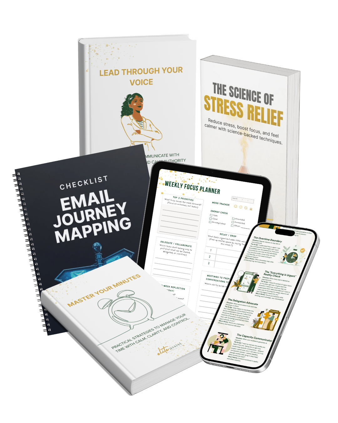 The Calm & Confident Assistant