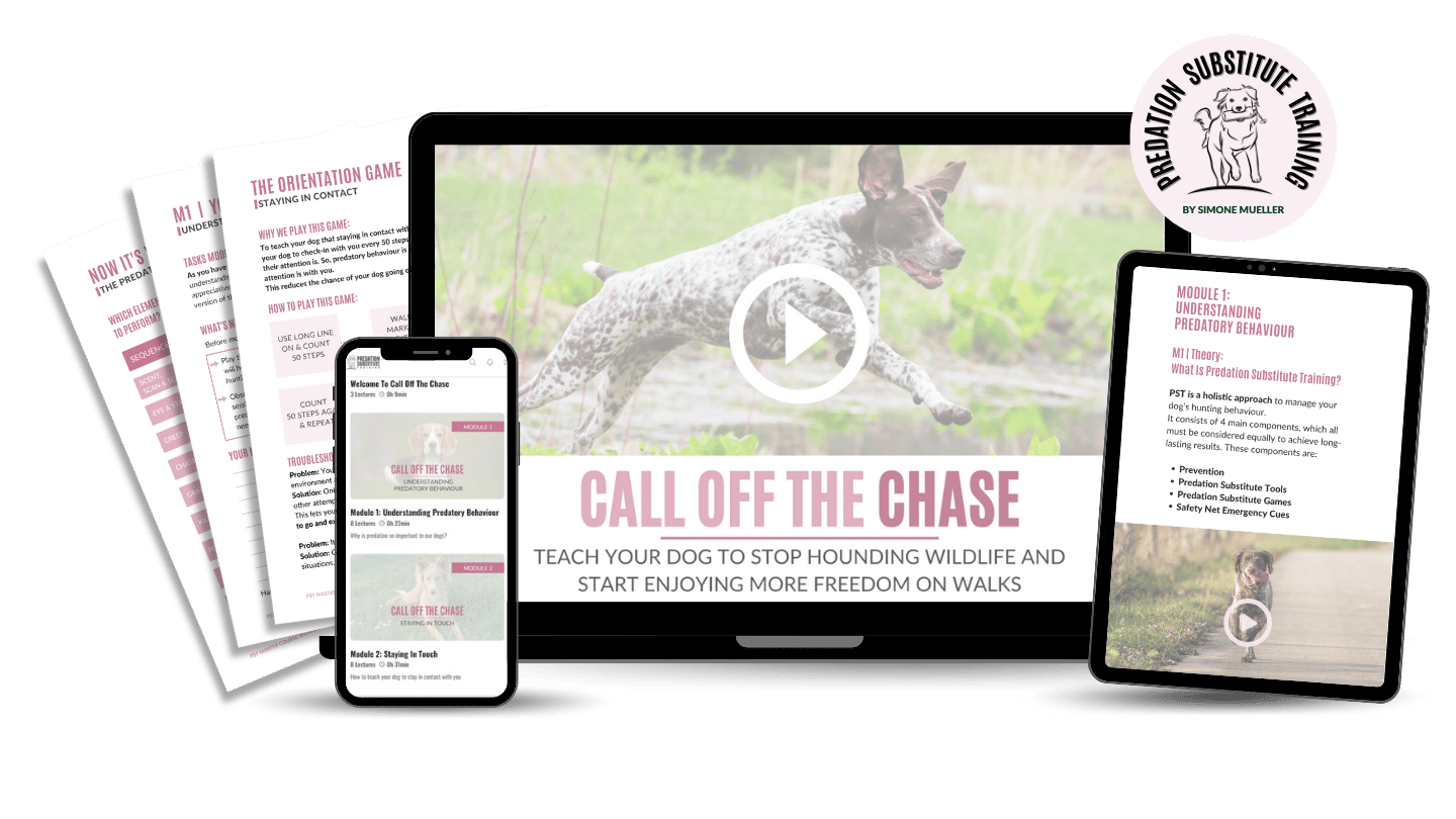 Call Off The Chase + eBook Bundle