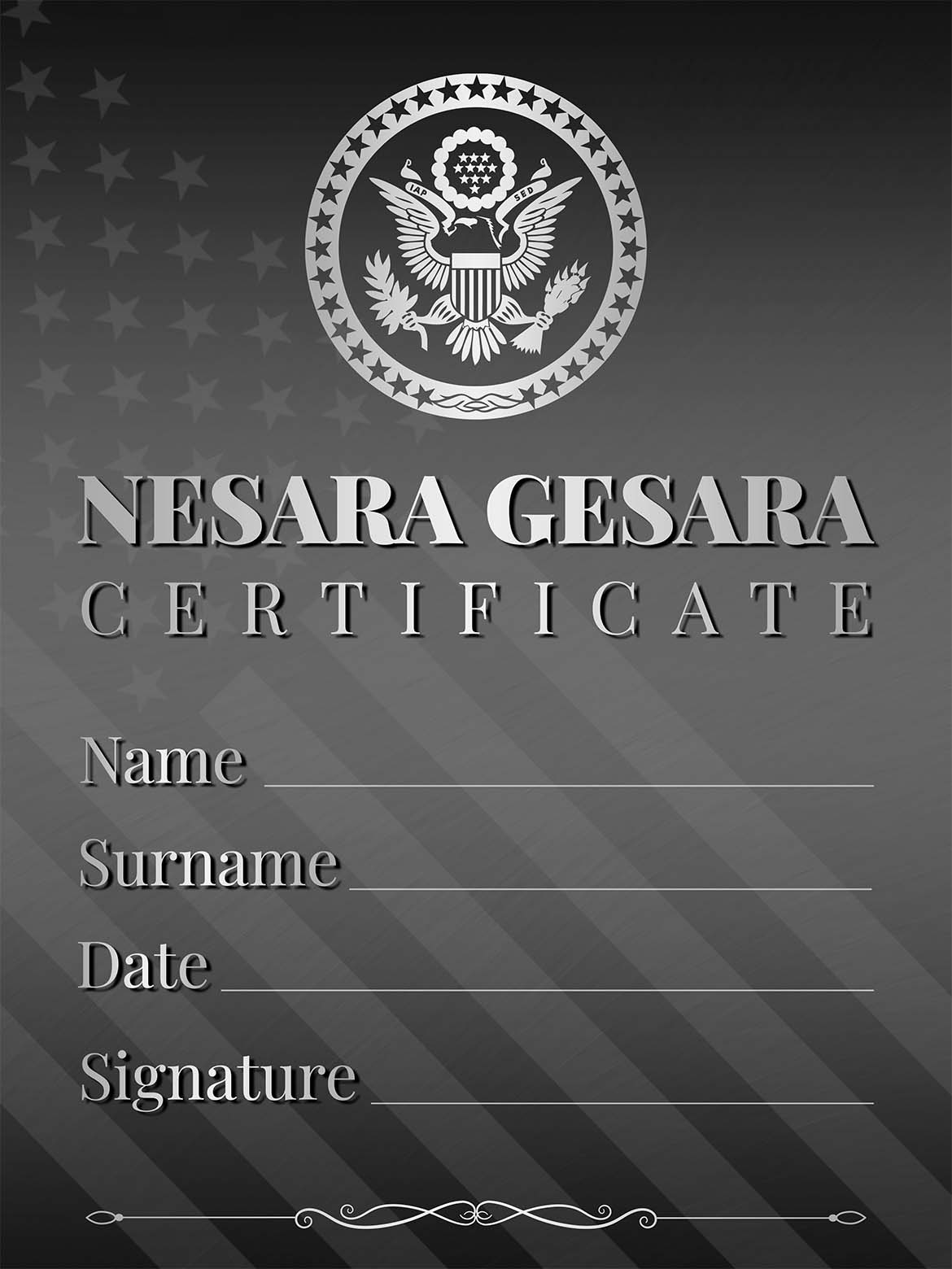 NESARA GESARA CERTIFICATE SILVER