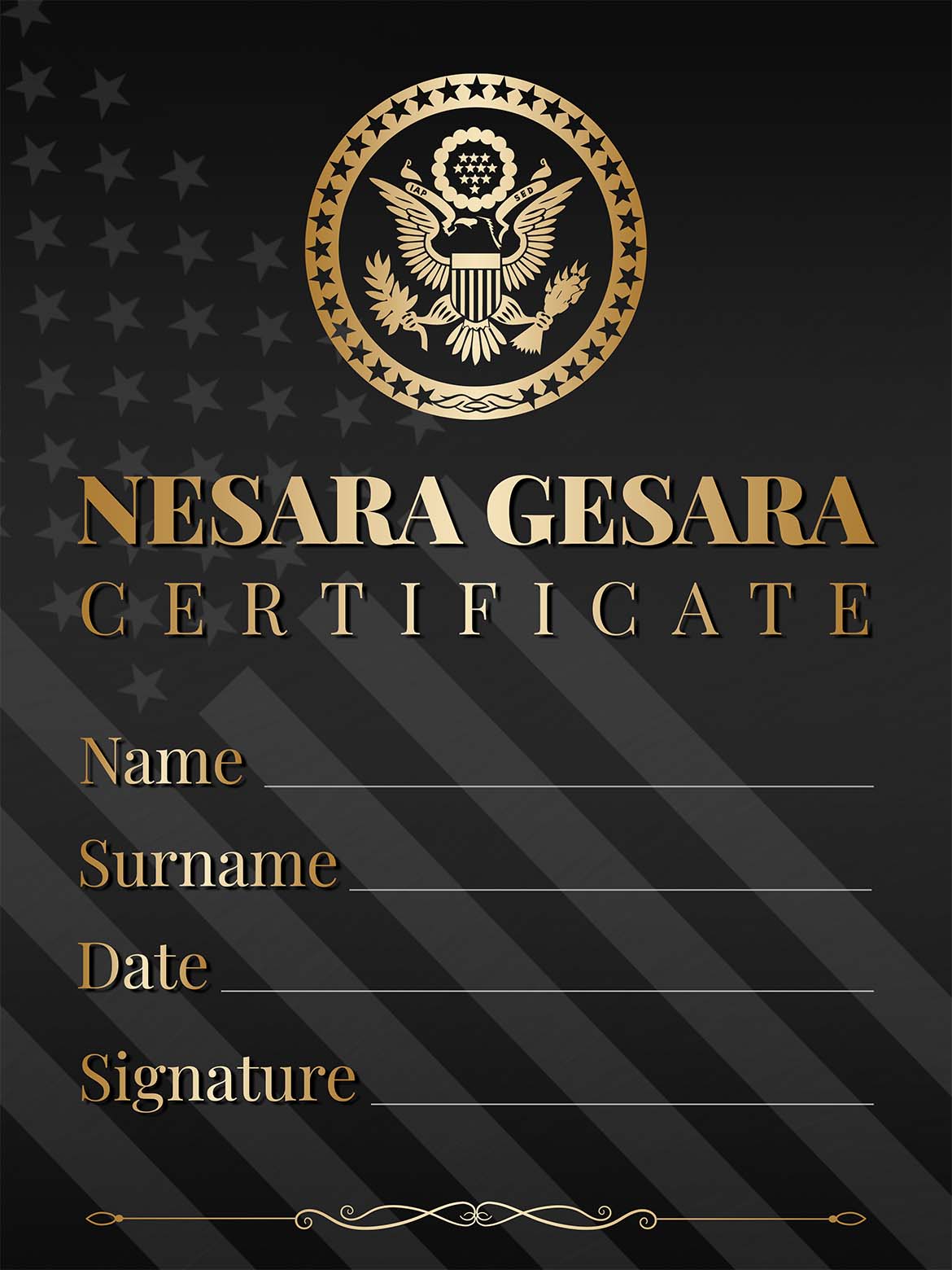 NESARA GESARA CERTIFICATE VIP