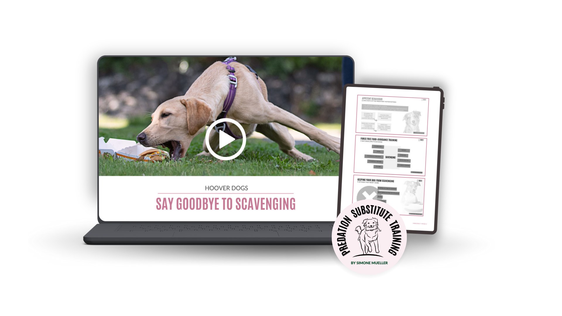Say Goodbye To Scavenging (Webinar + Ebook Bundle)