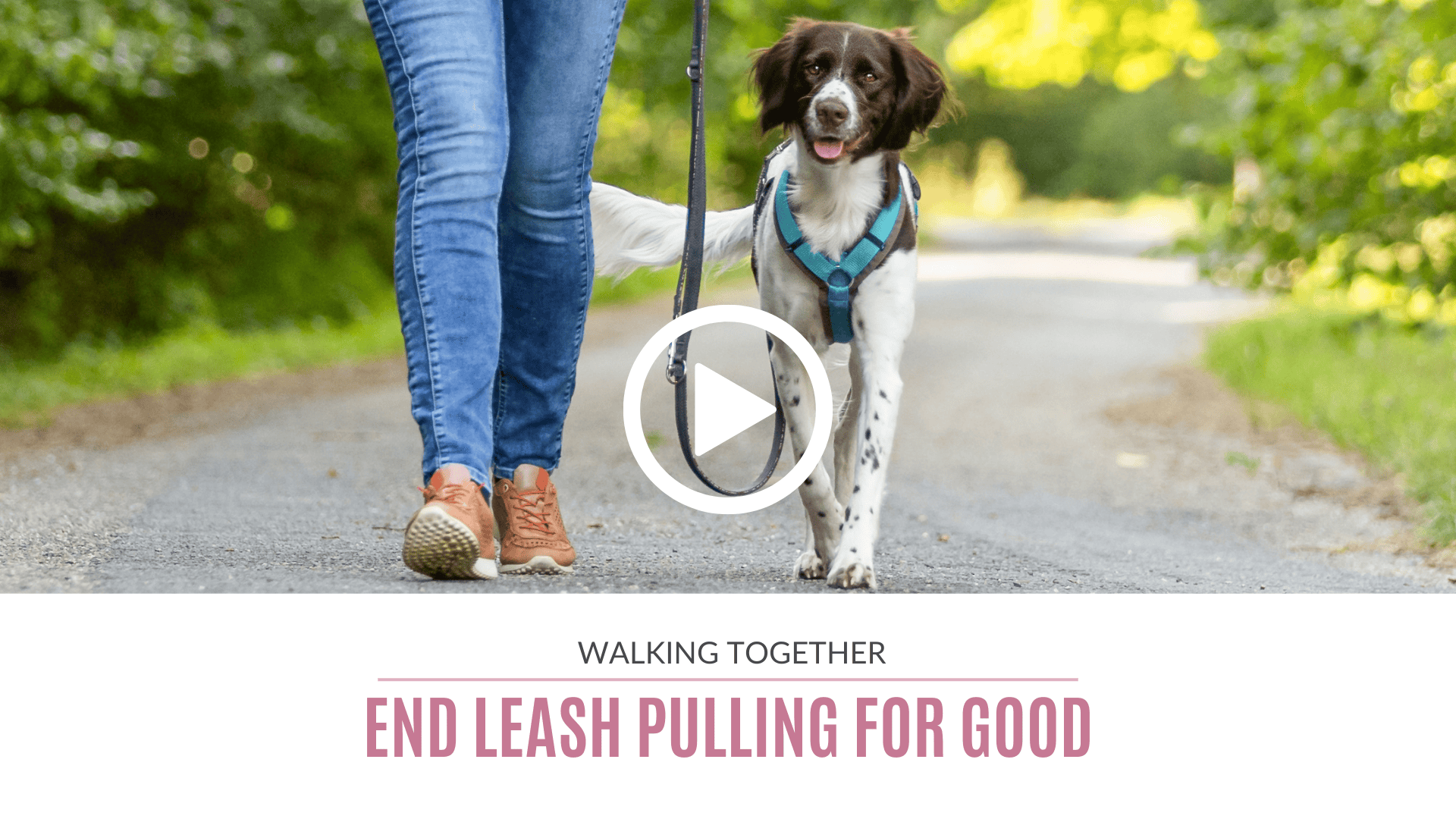End Leash Pulling for Good (Webinar + Ebook Bundle)