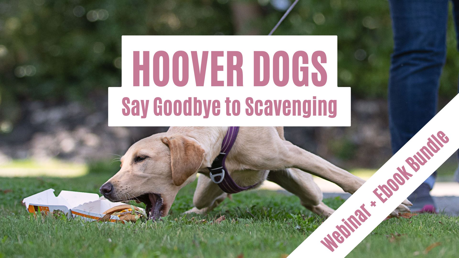 Say Goodbye To Scavenging (Webinar + Ebook Bundle)