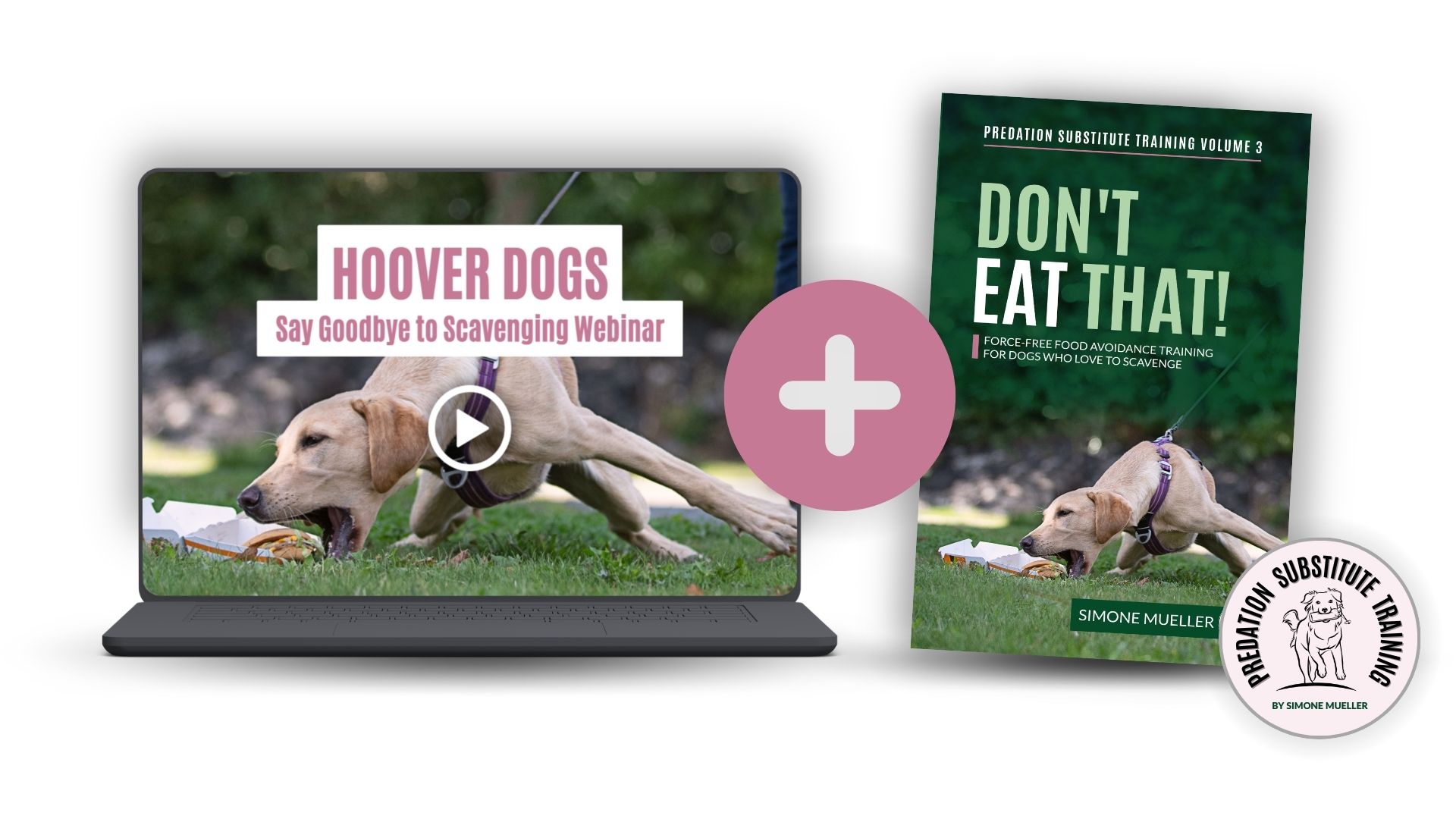 Say Goodbye To Scavenging (Webinar + Ebook Bundle)