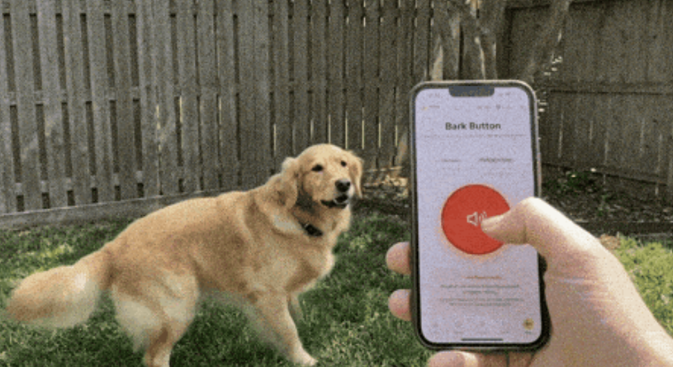Your Free Bark Button Is Ready! (Just Cover Processing)