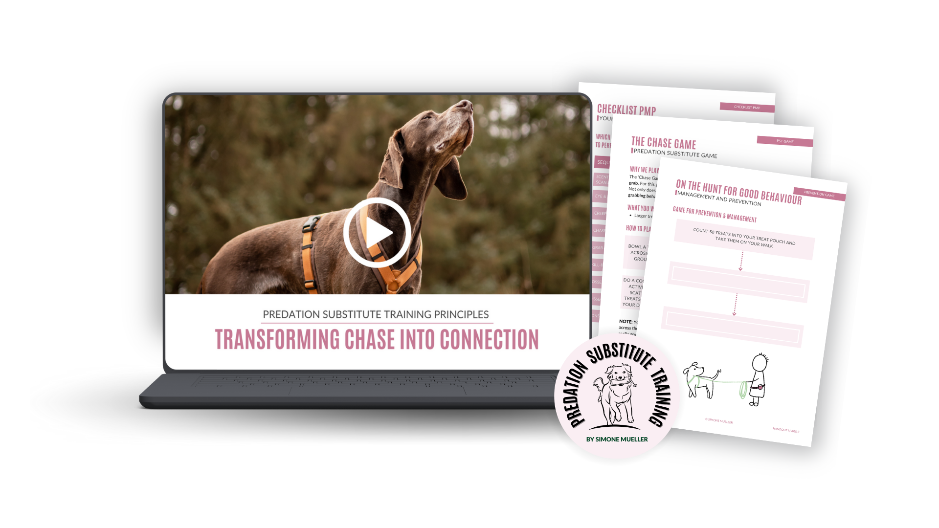 PST Principles: Transform Chase Into Connection